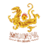 达州队logo